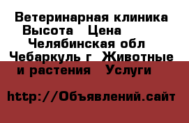 Ветеринарная клиника Высота › Цена ­ 200 - Челябинская обл., Чебаркуль г. Животные и растения » Услуги   